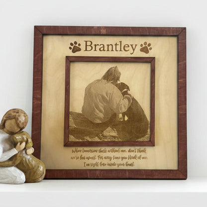 Pet Portrait image 0